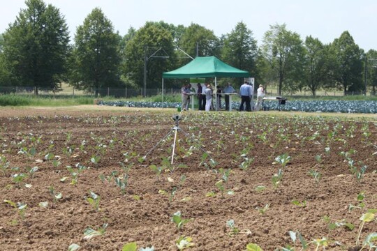 Blick über den Sortenerhaltungsgarten auf dem Versuchsgelände der Staatschule für Gartenbau.
