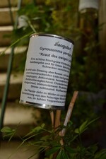 Naturerlebnis-Garten bei Michael Schick in Bronnen