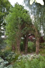 Schaugarten von Peter Schick in Bronnen