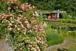 Im Rosengarten von Hannelore und Roland Birkel in Bußmannshausen