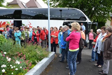 Im Garten von Marianne Sch�nle in Unlingen