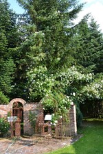 Im Rosengarten von Hannelore und Roland Birkel in Bußmannshausen