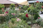 Im Rosengarten von Hannelore und Roland Birkel in Bußmannshausen
