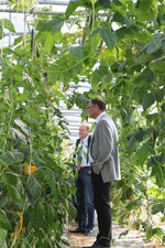 Neben Eiern vermarktet Sperling auch Gemüse: LBV-Hauptgeschäftsführer Peter Kolb und LBV-Präsident Joachim Rukwied im Tunnel