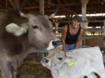 Der hohe Milcheinsatz ist f�r
Mechthild Kn�sel kein Nachteil,
denn er sorge f�r eine fr�he und
gute Entwicklung der Jungiere.