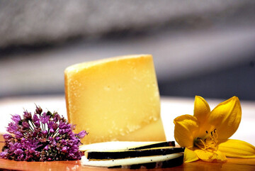 F�r den �Schw�bischen Voralbk�se Natur� erh�lt die Hofk�serei der Staufen Arbeits und Besch�ftigungsf�rderung gGmbH aus G�ppingen die �K�seharfe in Bronze�.