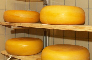 K�se ist nicht gleich K�se