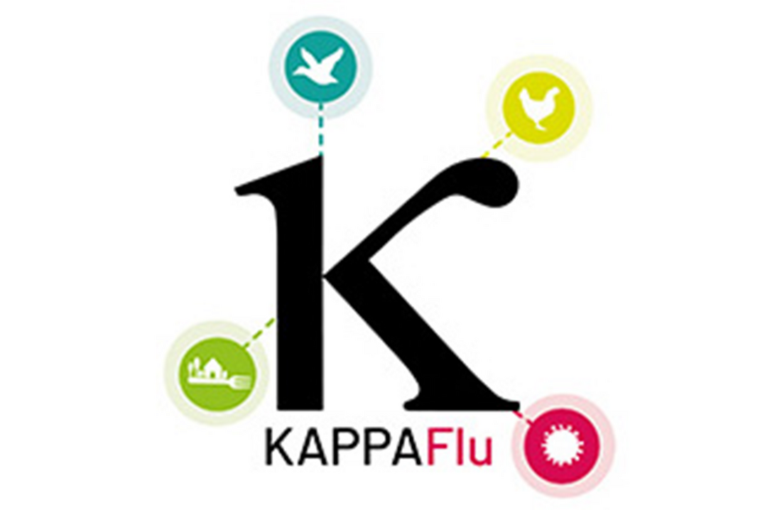 Das internationale KAPPA-Flu Konsertium startet seine Forschung zur weltweiten Ausbreitung des HPAIV H5-Virus.