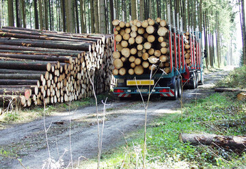 Der Streit um die Kartellauflagen zur Rundholzvermarktung und damit zur Struktur der baden-w�rttembergischen Forstverwaltung d�rfte wohl vor Gericht landen.