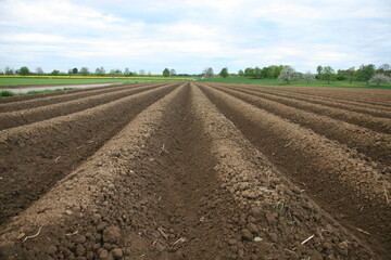 Das Bundesamt f�r Verbraucherschutz und Lebensmittelsicherheit (BVL) hat Attracap (Wirkstoff: Metarhizium brunneum) zur Bek�mpfung von Schnellk�ferlarven (Drahtw�rmer) auf befallsgef�hrdeten Fl�chen, insbesondere im �kolandbau, in Kartoffeln, befristet f�r 120 Tage zugelassen. 