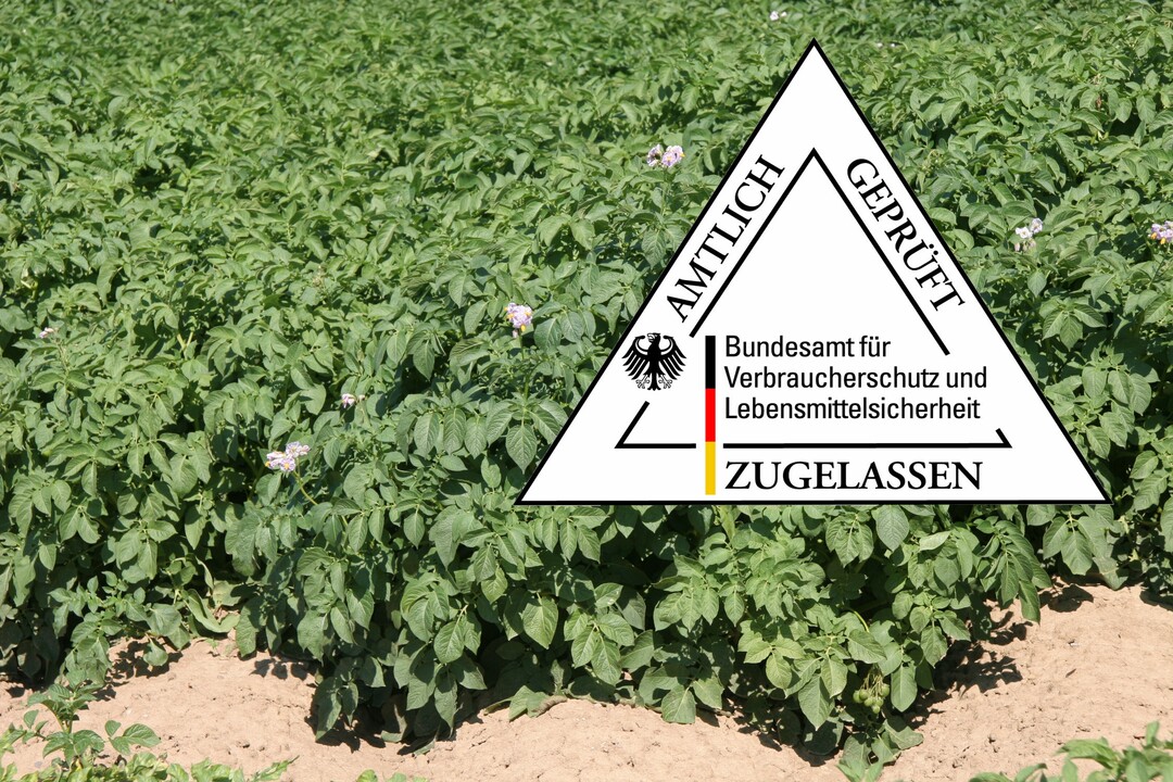 Zulassungen