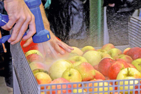    Die Rohware sollte gr�ndlich gereinigt werden. 