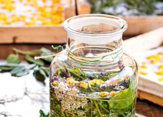 Bitterer Sommerlik�r