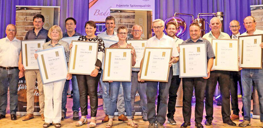 Hier die Vertreter der Top 
Ten Br�nde.