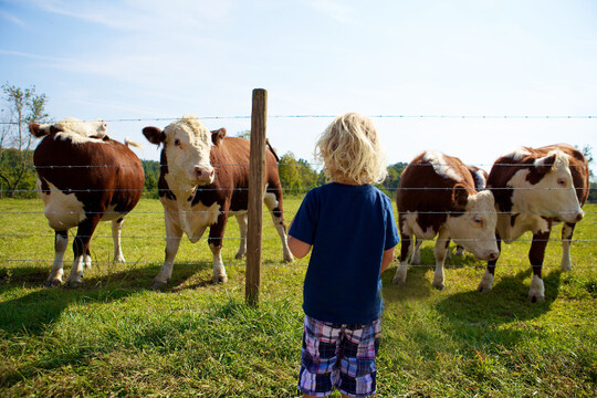 Die Schwarzwaldmilch startet ab sofort einen großen Schulwettbewerb für alle Schulklassen der Stufe 3 bis 5. Zu gewinnen gibt es einen Tag voller bunter Erlebnisse auf einem echten Schwarzwälder Weidemilchhof am 20. Mai 2019 (Alternativtermin bei schlechtem Wetter: 27. Mai 2019).