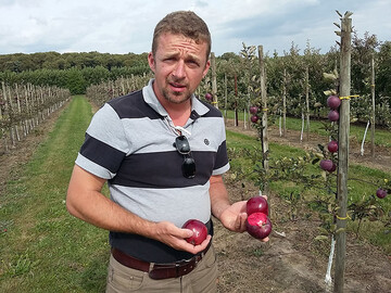 Dirk Zabel von Red Apple Germany hat hohe Erwartungen f�r alle Kissabel-Sorten.