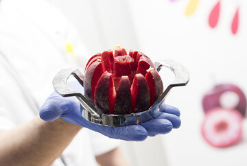 Erste Verkostungen von rotfleischigen Apfelsorten der Marke Kissabel verliefen vielversprechend. Erste kleine Mengen der neuen Marke werden f�r die Kampagne 2019/20 erwartet. 