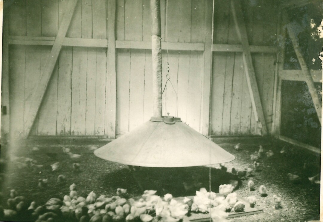 100 Jahre Versuchszentrum Kitzingen