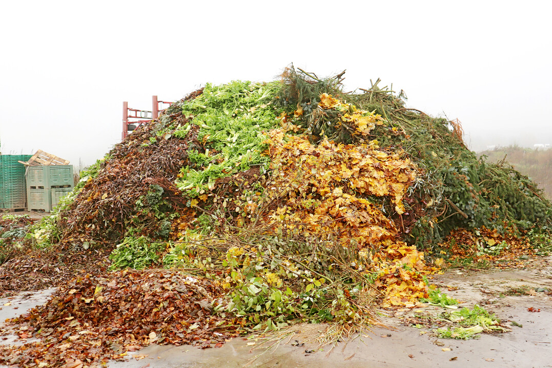 Die Kompostierung von Pflanzen ist ein zentrales Element bio-veganer Wirtschaftsweise.