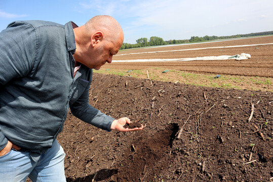Gärtnermeister Bernd Kugelmann begutachtet eine Kompstmiete auf dem Feld.