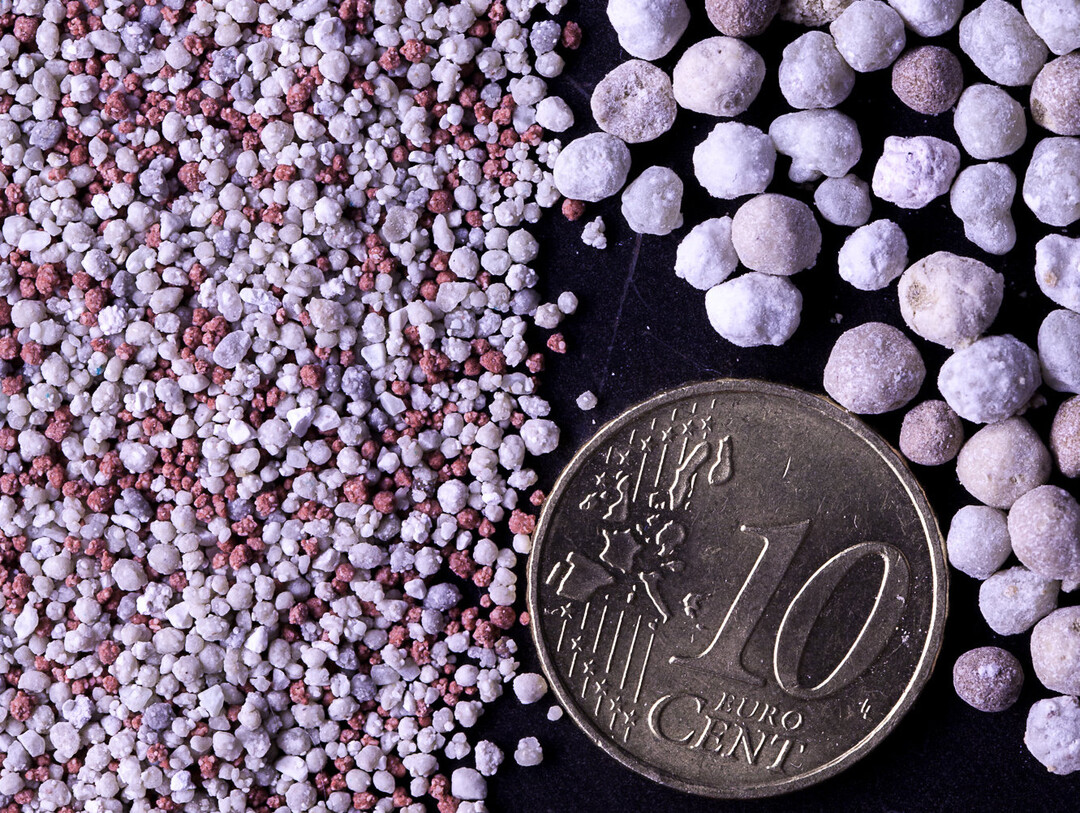 Mikrogranulate (links) eigenen sich zur Saatbandd�ngung im Getreide.