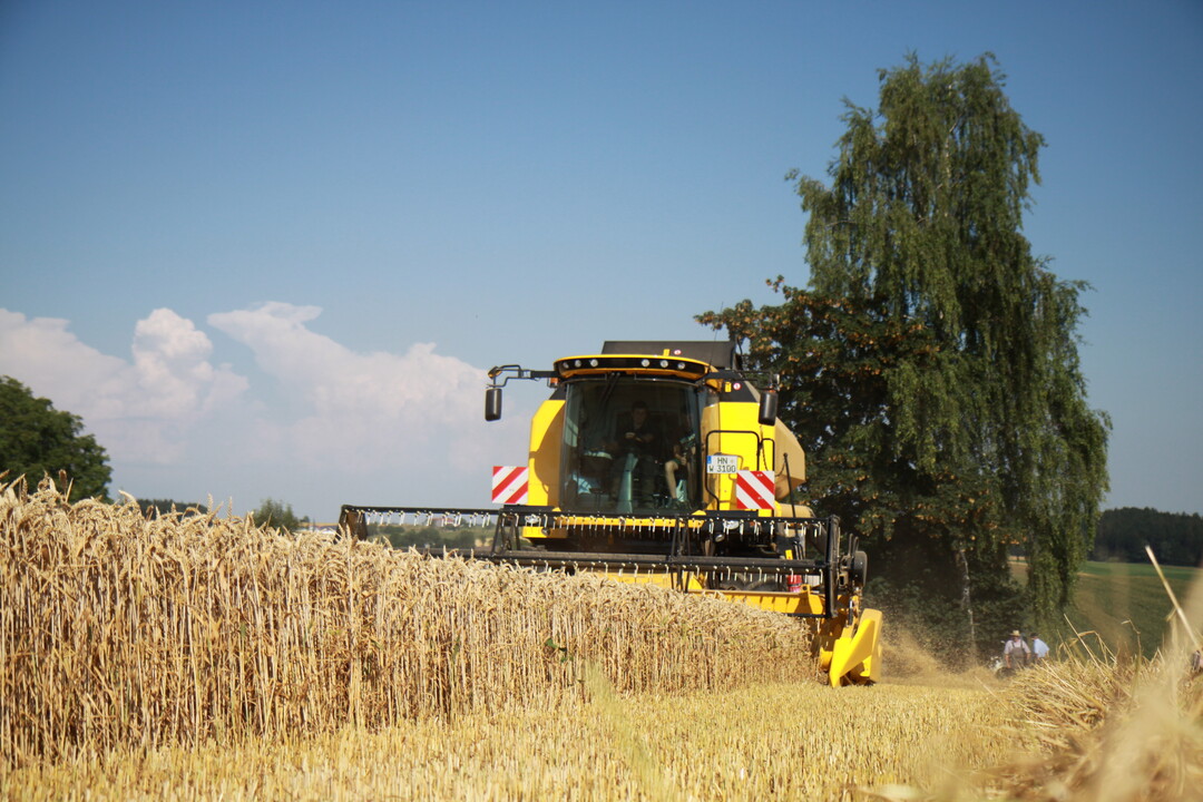 Die Getreideernte hat in vielen Regionen in dieser Woche begonnen.