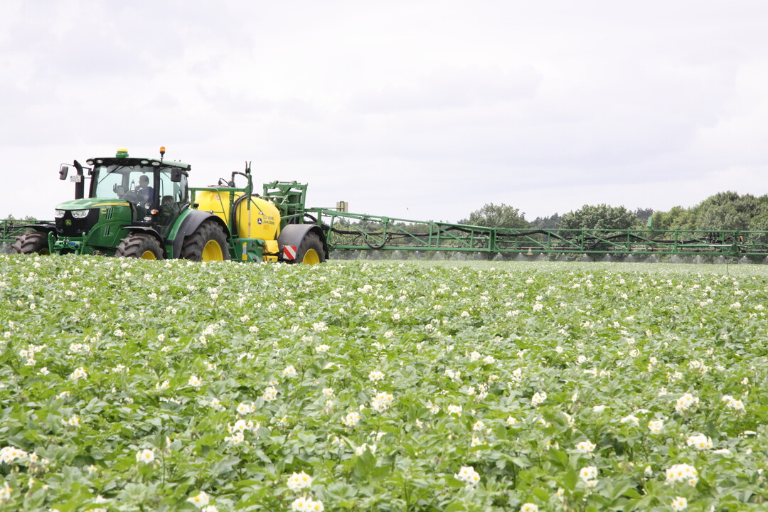 Pflanzenschutz sichert Ernten, so der Vorsitzende des Fachausschusses Getreide des DBV, Wolfgang Vogel.