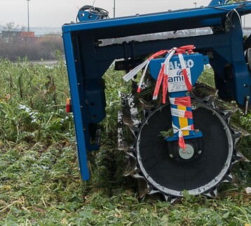Aufgrund ihrer hohen Schlagkraft eigen sich Messerwalzen gut um Zwischenfrüchte zu zerkleinern.