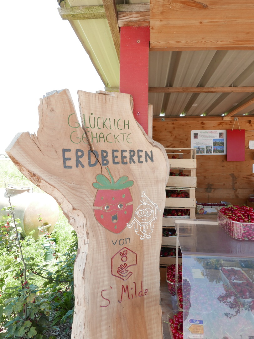 Im Hofladen kaufen Kunden auch das gute Gefühl mit.