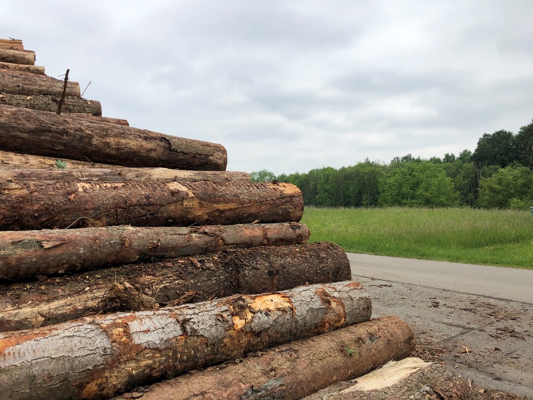 Die Lagerung von Schadholz auf landwirtschaftlichen Fl�chen kann Auswirkungen auf die Fl�chenf�rderung im Gemeinsamen Antrag haben.