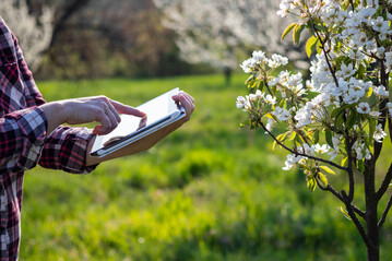 Im Bundeswettbewerb Ökologischer Landbau wird nach innovativen und nachhaltigen Lösungen gesucht.
