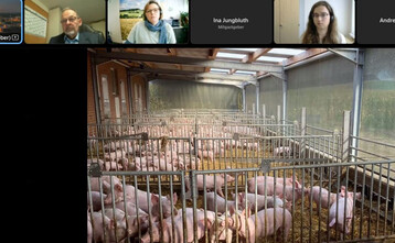 Spannende Vortr�ge rund ums Schweinefleisch gab es auf der LBV-Fachtagung, die es auch zum Nachh�ren gibt.