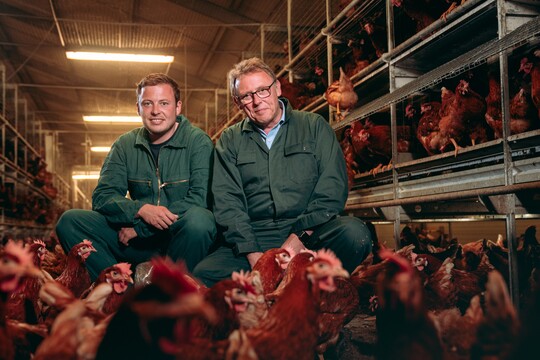 Legehennenhalter starten Branchenkommunikation