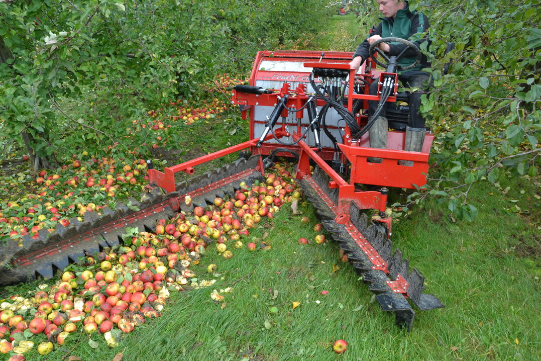 Antragsverfahren läuft ab 16. Dezember 2019 bis 1. März 2020