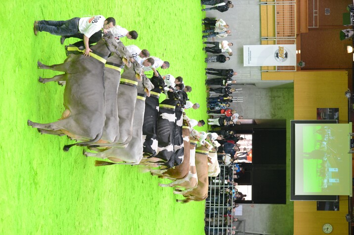 So sehen Sieger aus: Die Aufstellung der Grand Champion-Aspirantinnen auf der RBW-Landesschau in Ilshofen.