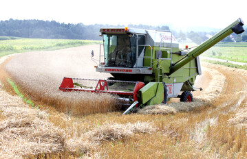  Der Deutsche Raiffeisenverband (DRV) geht in seiner zweiten Ernteprognose von einer Getreideernte in H�he von zirka 44 Millionen Tonnen und einer Rapsernte von rund 3,6 Millionen Tonnen aus. Damit w�rden die Vorjahresergebnisse etwas �bertroffen. 
