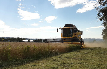  Trotz sp�tem Start und vielfacher Unterbrechung der Ernte ist ein gro�er Teil des Getreides gedroschen. Der DRV hat seine Ernteprognose f�r Deutschland am 16. August 2021 beim Getreide auf 42,9 Millionen Tonnen und beim Raps auf 3,5 Millionen Tonnen nach unten angepasst.