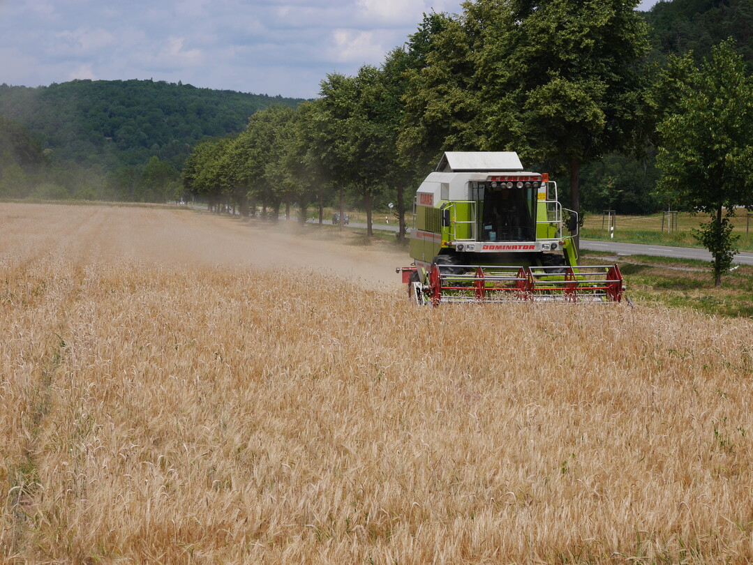 Die Gerstenernte ist in S�dw�rttemberg gestartet; hier drischt Sebastian Reutter seine Wintergerste bei Hagelloch im Landkreis T�bingen.