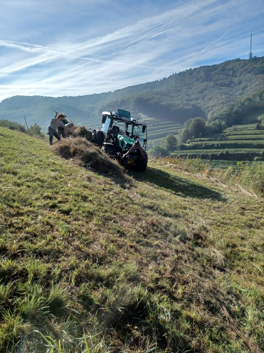   M�harbeiten am Steilhang: Die Pflege der artenreichen Wiesen im Kaiserstuhl erfordern spezielle Maschinenausstattung.