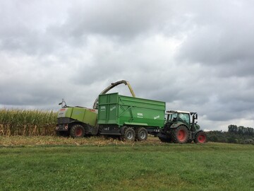 Mit dem richtigen Erntezeitpunkt wird ein wichtiger Grundstock f�r eine gute Maissilage gelegt.&nbsp;