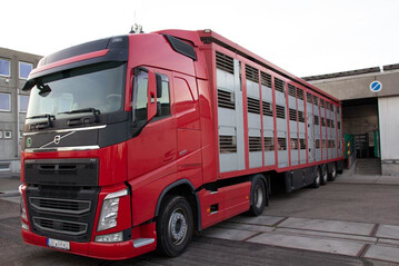  Nach dem Aus des Mannheimer Schlachthofes wird es auch f�r Direktvermarkter k�nftig noch schwieriger, eine Lohnschlachtst�tte in der N�he zu finden. Die Transportwege jedenfalls d�rften l�nger werden.&nbsp; 