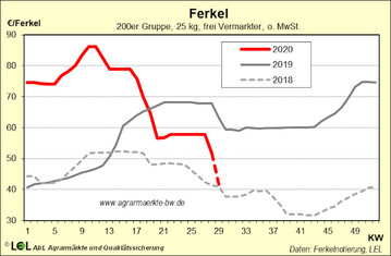 Die Ferkelerl�se gingen in den letzten 4 Wochen um 16 Euro zur�ck.