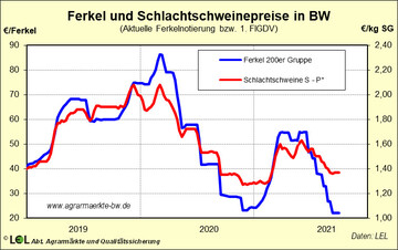  Die Ferkelnotierung konnte in den letzten Wochen bei 22 Euro/25-kg-Ferkel gestoppt werden. Angesichts des weiteren R�ckgangs der Schweinepreise sind am kommenden Montag (KW 41) allerdings weitere Preisabschl�ge zu bef�rchten.