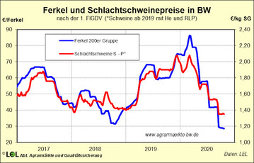 F�r die deutsche Schweinehaltung und insbesondere die Ferkelerzeugung entwickelt sich das Jahr 2020 zum Horrorszenario.