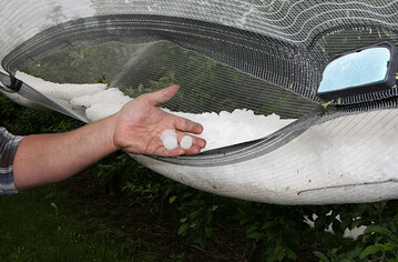  �Unser Modellprojekt zur Mehrgefahrenversicherung konnte gleich im ersten Jahr vielen b�uerlichen Familienbetrieben helfen�, freut sich Minister Peter Hauk MdL. Das Bild zeigt ein Sturm- und Starkregenereignis mit Hagelk�rnern in einer Obstanlage. 