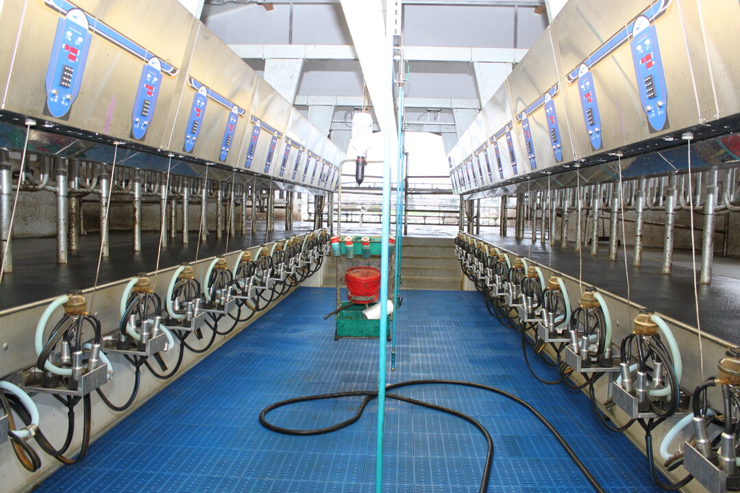 Viele Landwirte haben 2014 über die Quote hinaus gemolken