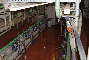 Wie soll der neue Melkstand aussehen? Die meisten Investitionspläne sind bei Milchviehbetrieben mit 100 bis 200 Kühen, hoch im Kurs sind Melkroboter.