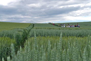 Erste Ergebnisse der LSV 2022 sind da. Verfügbare LSV-Ergebnisse sind mit einem Link hinterlegt und clickbar.