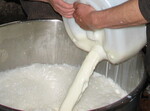 Frische Rohmilch in ein rares Gut: Slow Food setzt sich für den einfachen und unbürokratischen Vertrieb und Erwerb von naturbelassener Milch und auch Rohmilch ein.