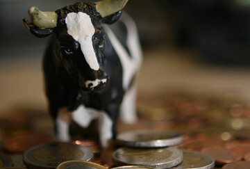 Diskussion um die Milchviehhaltung in Deutschland: Laut DBV-Vizepräsident Karsten Schmal wird die Wettbewerbsfähigkeit der Milchviehhaltung nicht durch Gesprächskreise gesichert. Vielmehr fordert Schmal von Bundesregierung politisches Handeln ein.